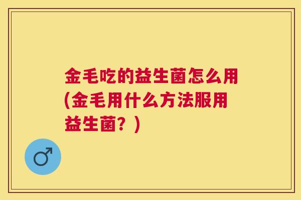 金毛吃的益生菌怎么用(金毛用什么方法服用益生菌？)