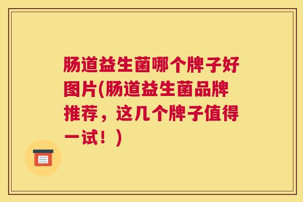 肠道益生菌哪个牌子好图片(肠道益生菌品牌推荐，这几个牌子值得一试！)