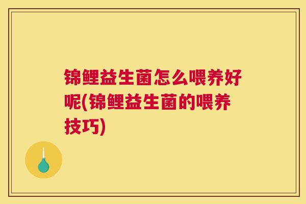 锦鲤益生菌怎么喂养好呢(锦鲤益生菌的喂养技巧)