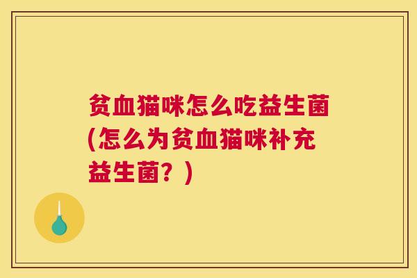 贫血猫咪怎么吃益生菌(怎么为贫血猫咪补充益生菌？)