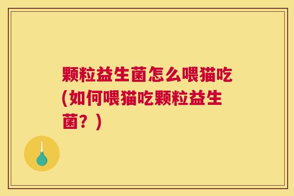 颗粒益生菌怎么喂猫吃(如何喂猫吃颗粒益生菌？)