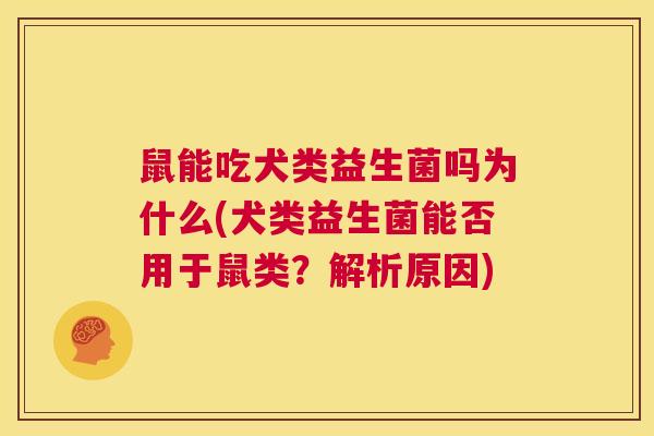 鼠能吃犬类益生菌吗为什么(犬类益生菌能否用于鼠类？解析原因)