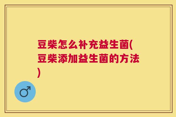 豆柴怎么补充益生菌(豆柴添加益生菌的方法)