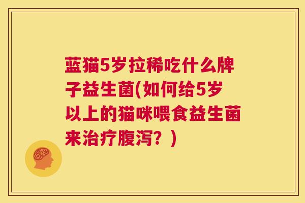 蓝猫5岁拉稀吃什么牌子益生菌(如何给5岁以上的猫咪喂食益生菌来治疗腹泻？)