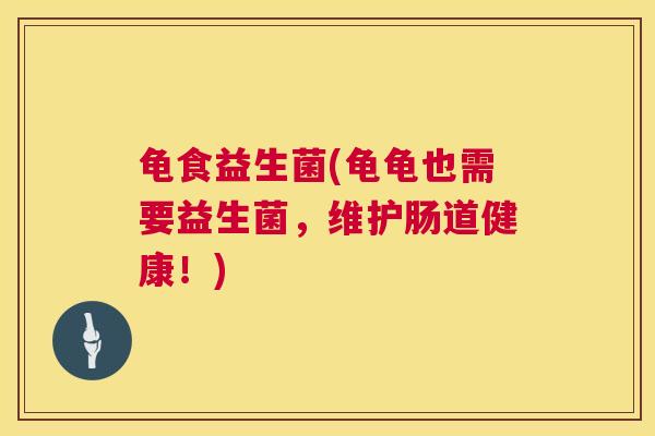龟食益生菌(龟龟也需要益生菌，维护肠道健康！)