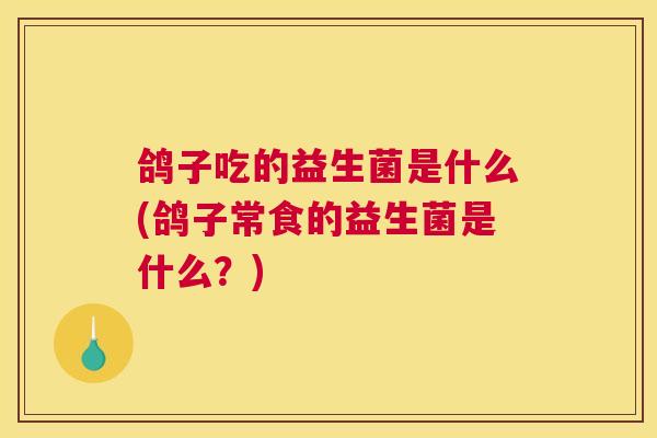 鸽子吃的益生菌是什么(鸽子常食的益生菌是什么？)