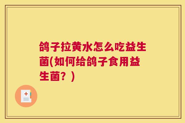 鸽子拉黄水怎么吃益生菌(如何给鸽子食用益生菌？)