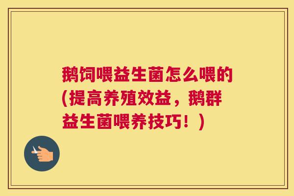 鹅饲喂益生菌怎么喂的(提高养殖效益，鹅群益生菌喂养技巧！)