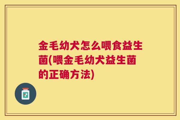 金毛幼犬怎么喂食益生菌(喂金毛幼犬益生菌的正确方法)