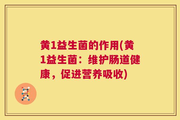 黄1益生菌的作用(黄1益生菌：维护肠道健康，促进营养吸收)