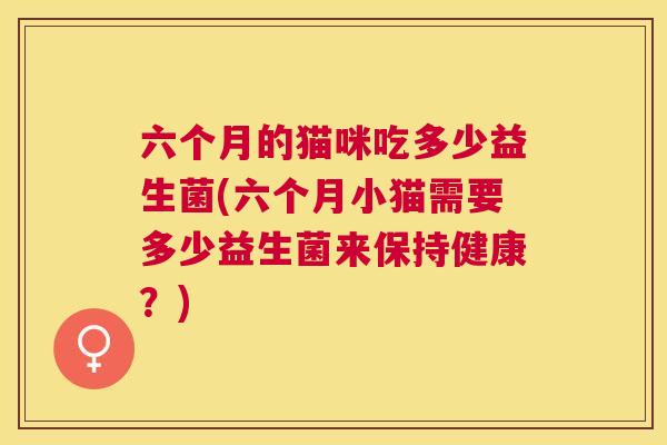 六个月的猫咪吃多少益生菌(六个月小猫需要多少益生菌来保持健康？)