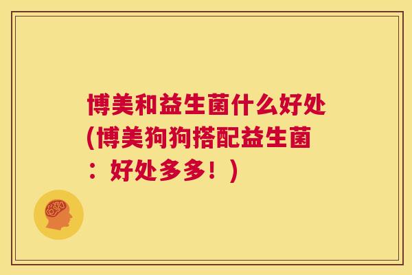 博美和益生菌什么好处(博美狗狗搭配益生菌：好处多多！)