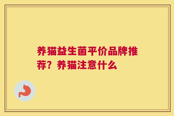 养猫益生菌平价品牌推荐？养猫注意什么