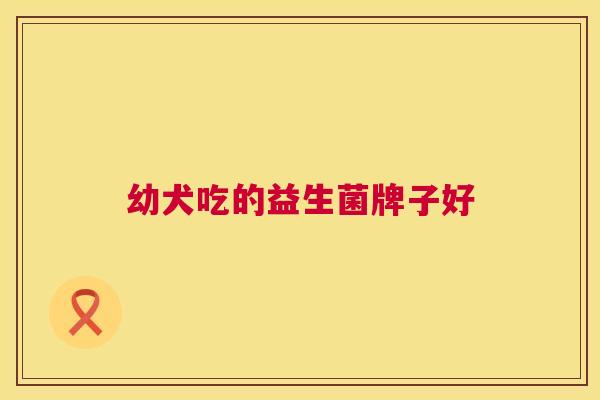 幼犬吃的益生菌牌子好