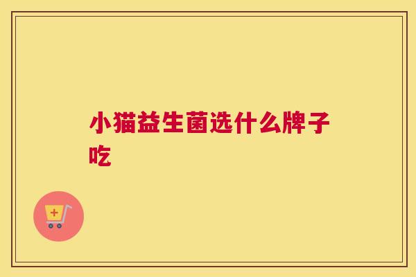 小猫益生菌选什么牌子吃