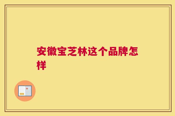 安徽宝芝林这个品牌怎样