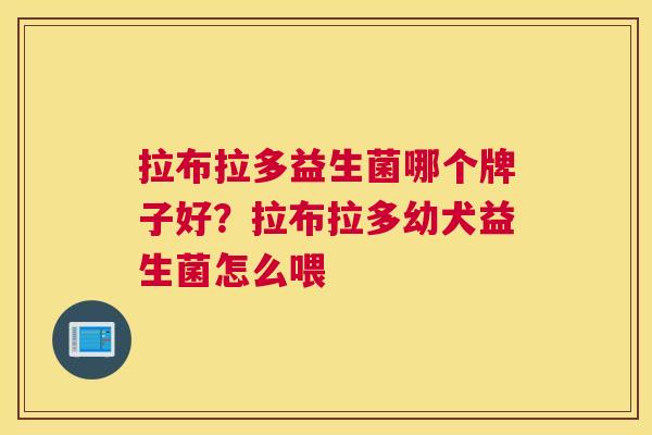 拉布拉多益生菌哪个牌子好？拉布拉多幼犬益生菌怎么喂