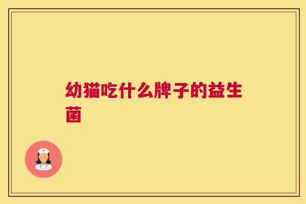 幼猫吃什么牌子的益生菌