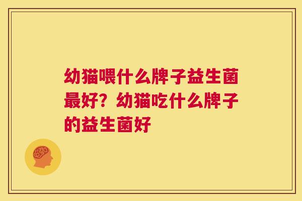 幼猫喂什么牌子益生菌最好？幼猫吃什么牌子的益生菌好