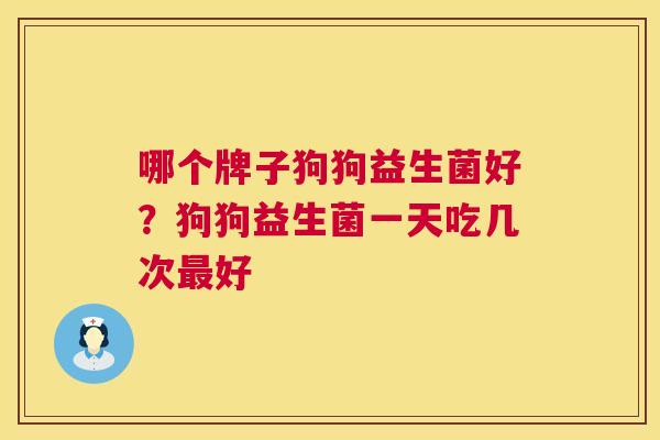 哪个牌子狗狗益生菌好？狗狗益生菌一天吃几次最好