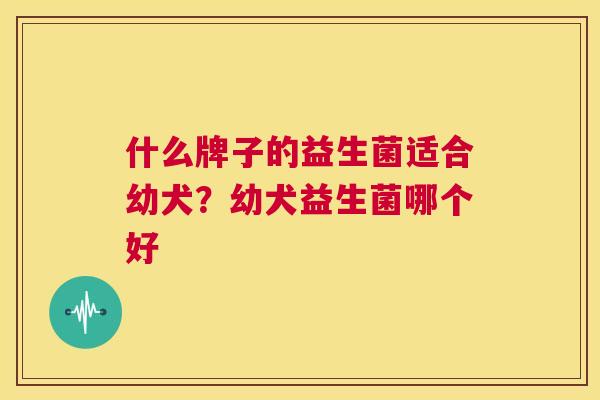 什么牌子的益生菌适合幼犬？幼犬益生菌哪个好