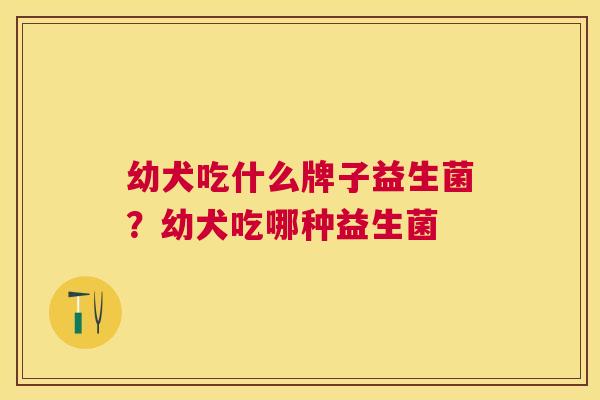 幼犬吃什么牌子益生菌？幼犬吃哪种益生菌