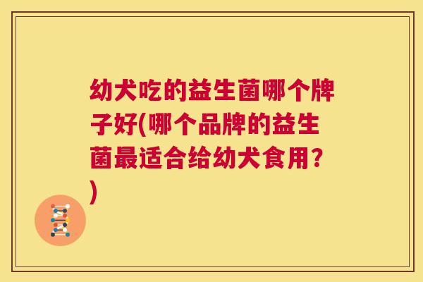 幼犬吃的益生菌哪个牌子好(哪个品牌的益生菌最适合给幼犬食用？)