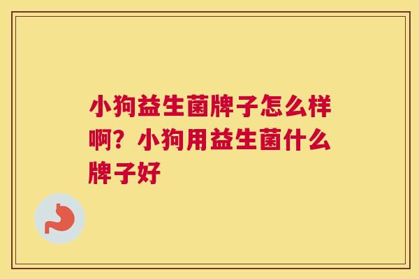 小狗益生菌牌子怎么样啊？小狗用益生菌什么牌子好