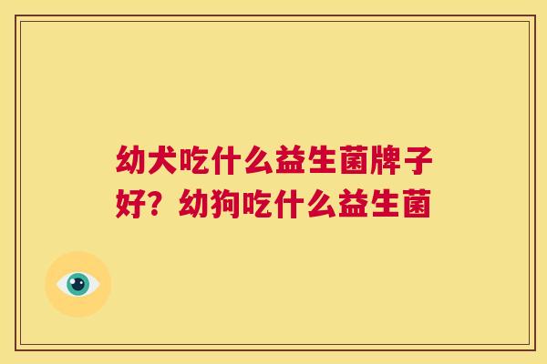 幼犬吃什么益生菌牌子好？幼狗吃什么益生菌
