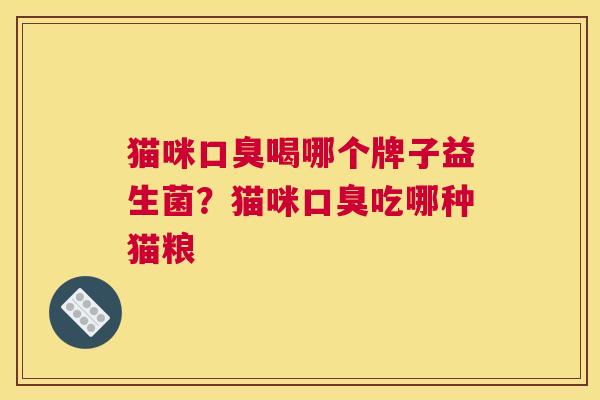 猫咪口臭喝哪个牌子益生菌？猫咪口臭吃哪种猫粮