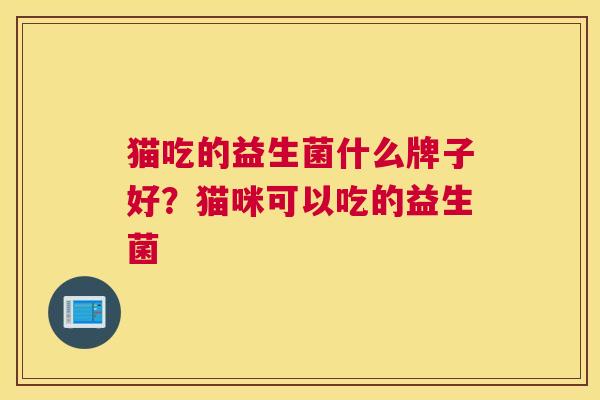猫吃的益生菌什么牌子好？猫咪可以吃的益生菌