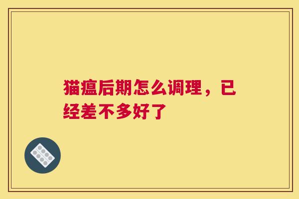 猫瘟后期怎么调理，已经差不多好了