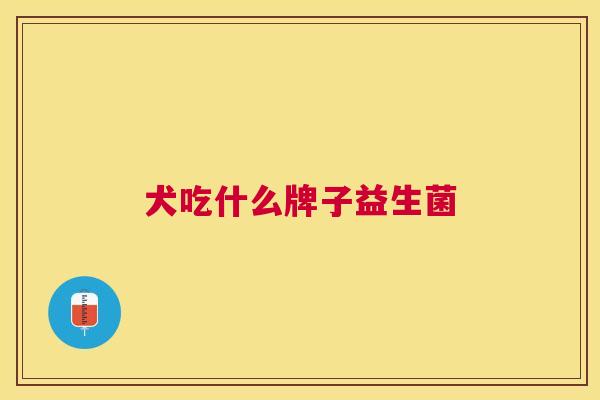 犬吃什么牌子益生菌