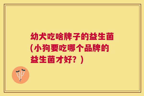 幼犬吃啥牌子的益生菌(小狗要吃哪个品牌的益生菌才好？)
