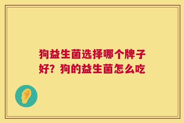 狗益生菌选择哪个牌子好？狗的益生菌怎么吃