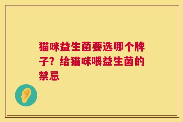 猫咪益生菌要选哪个牌子？给猫咪喂益生菌的禁忌