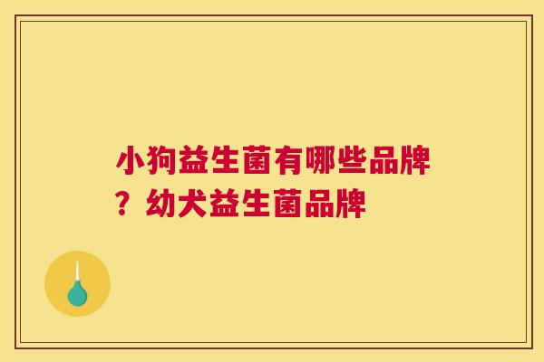 小狗益生菌有哪些品牌？幼犬益生菌品牌