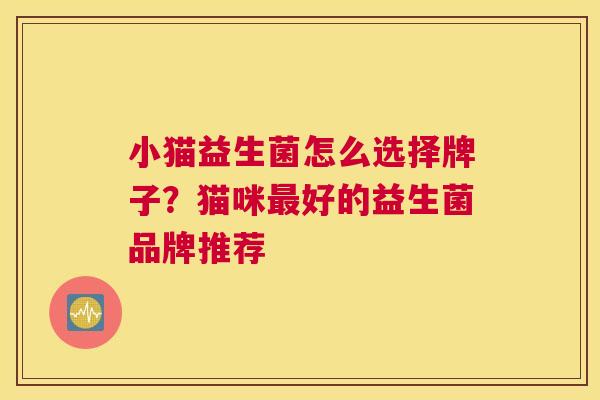 小猫益生菌怎么选择牌子？猫咪最好的益生菌品牌推荐