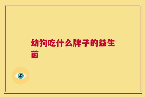 幼狗吃什么牌子的益生菌