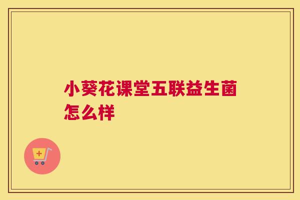 小葵花课堂五联益生菌怎么样