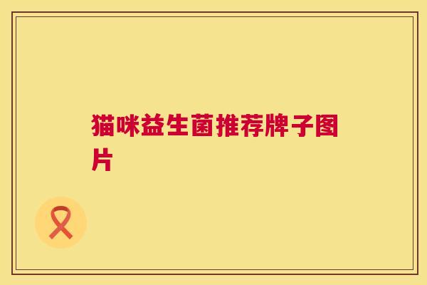 猫咪益生菌推荐牌子图片