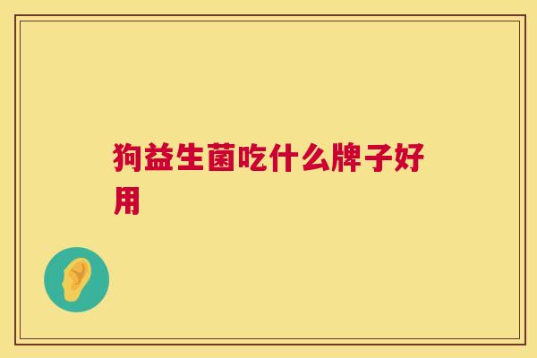 狗益生菌吃什么牌子好用