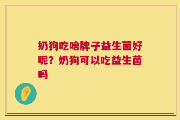奶狗吃啥牌子益生菌好呢？奶狗可以吃益生菌吗