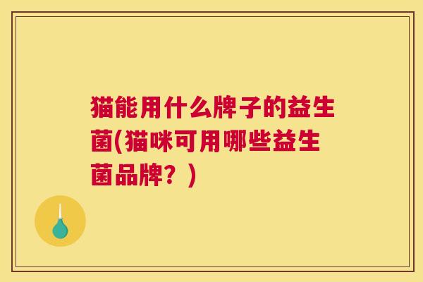 猫能用什么牌子的益生菌(猫咪可用哪些益生菌品牌？)