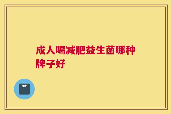 成人喝减肥益生菌哪种牌子好