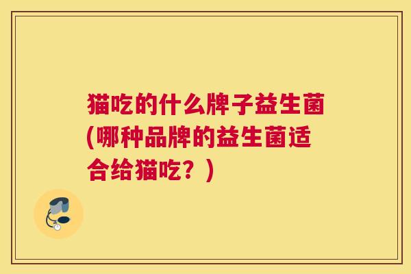猫吃的什么牌子益生菌(哪种品牌的益生菌适合给猫吃？)
