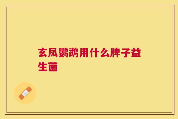 玄凤鹦鹉用什么牌子益生菌