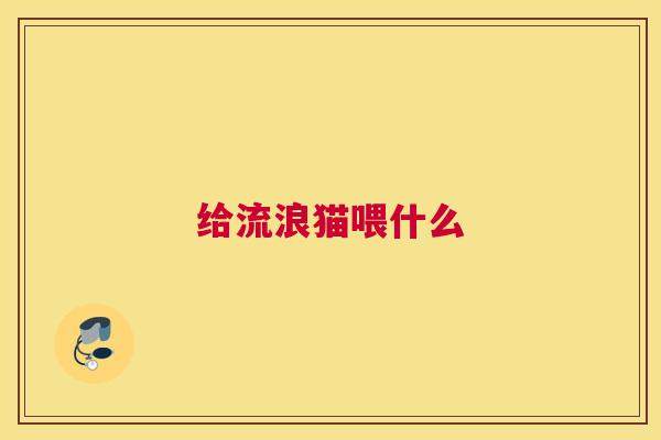 给流浪猫喂什么