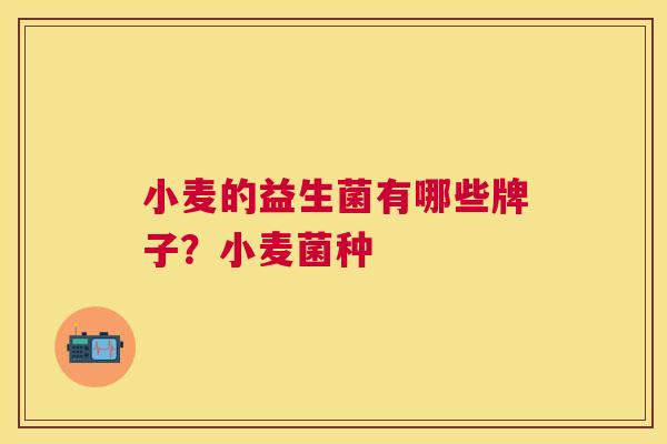 小麦的益生菌有哪些牌子？小麦菌种
