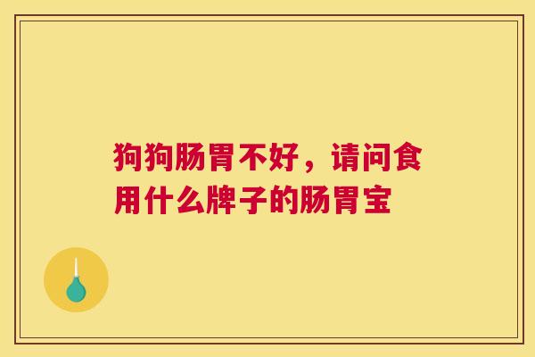 狗狗肠胃不好，请问食用什么牌子的肠胃宝